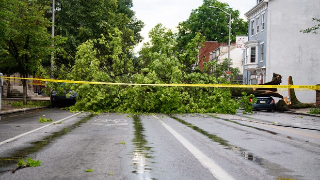 A tree on the 400 block of W. Market St. fell onto two parked vehicles during a storm that whipped through York County on Wednesday, May 29, 2019.