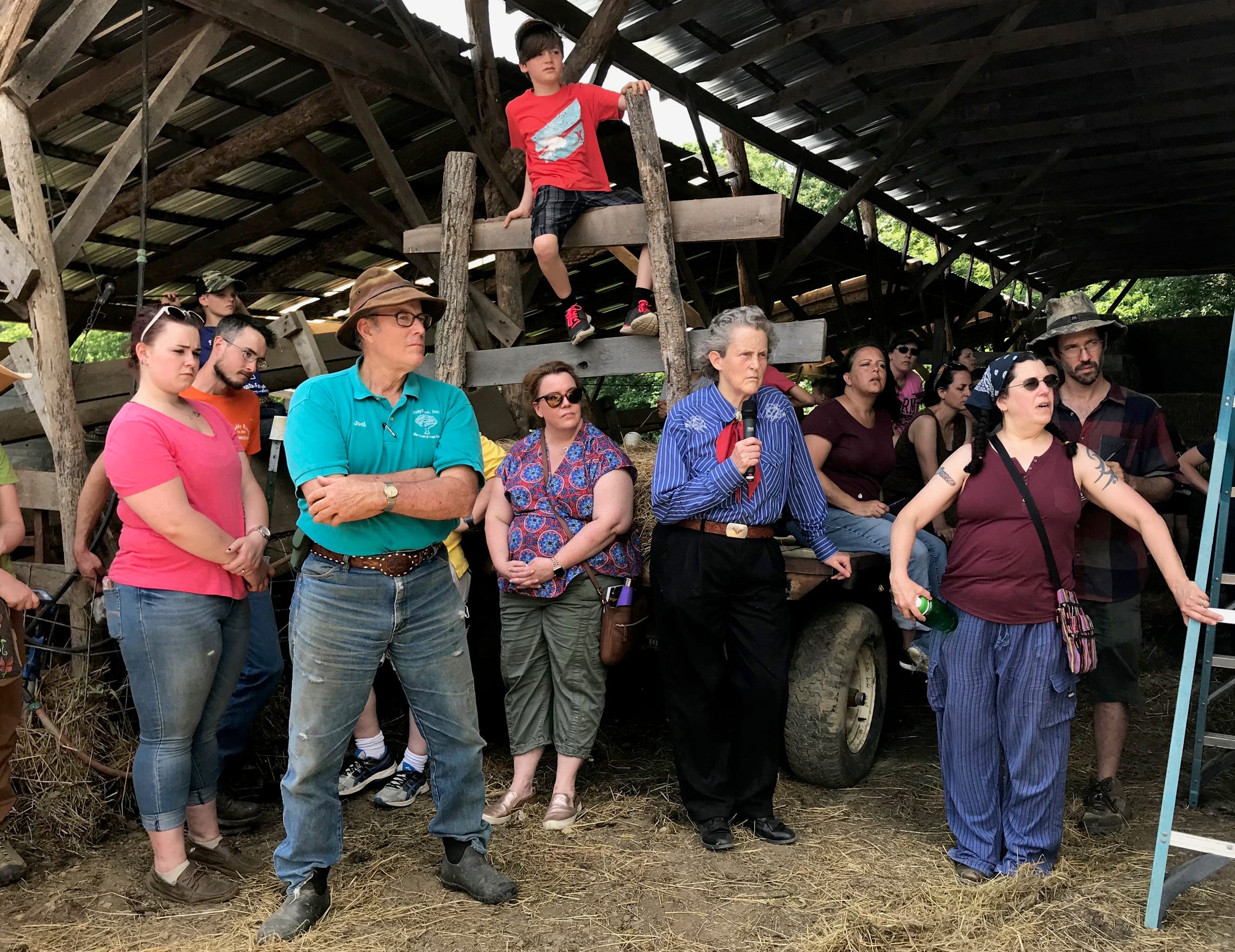 A day with Temple Grandin on Polyface Farms