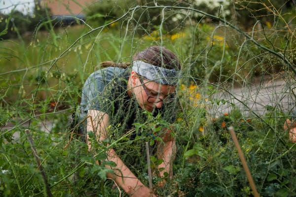 Some volunteers in gardens are the people who help out at Minnetrista, while others are the plants - sometimes called weeds - that grow unexpectedly.