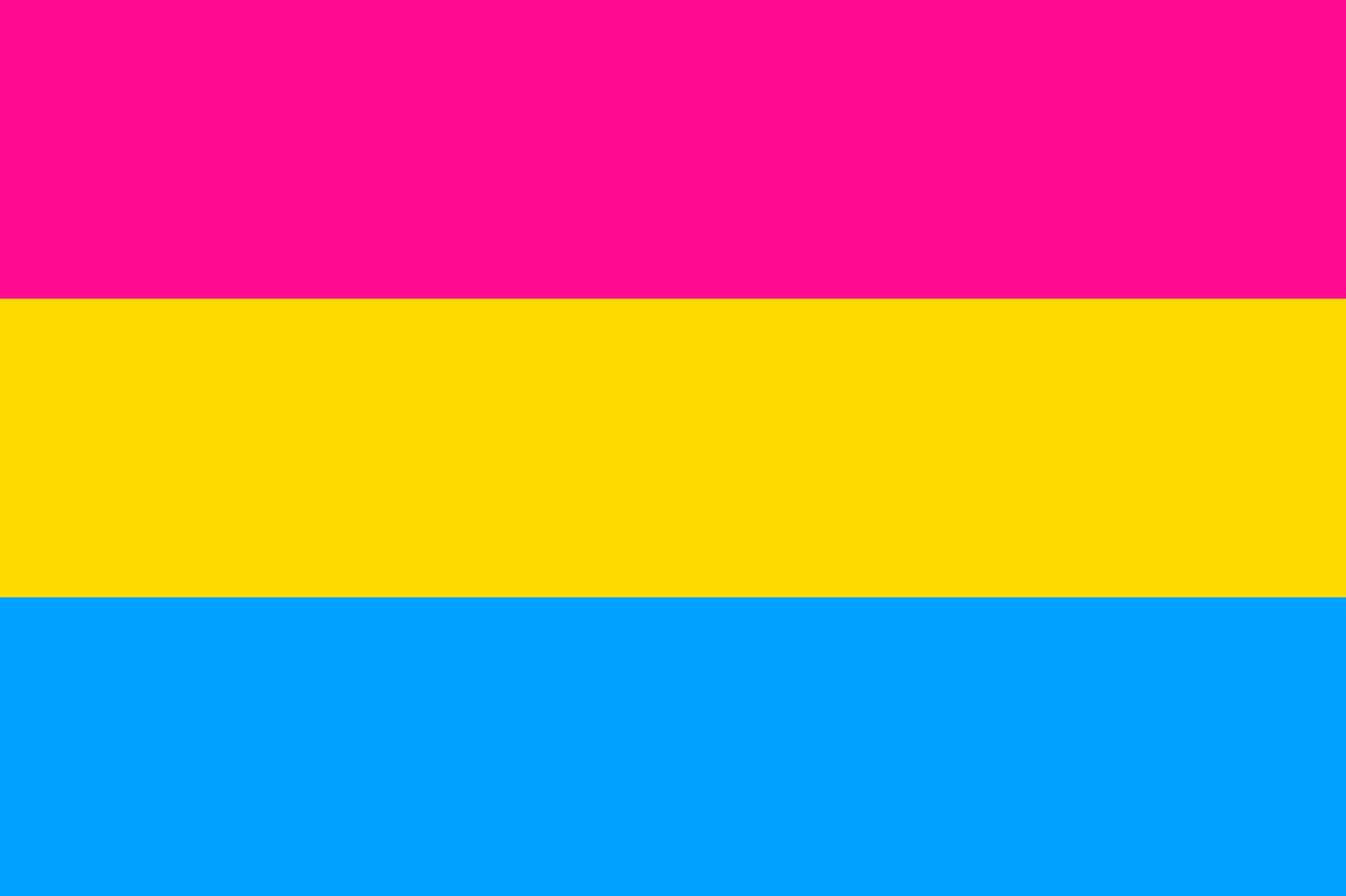 Pride Flags Go Beyond The Rainbow What Pansexual Bi And Others Mean