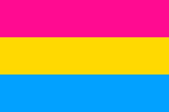 Pride Flags Beyond The Rainbow What Pansexual Bi And Others Mean