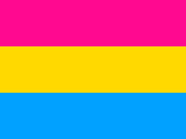 Pride Flags Beyond The Rainbow What Pansexual Bi And Others Mean