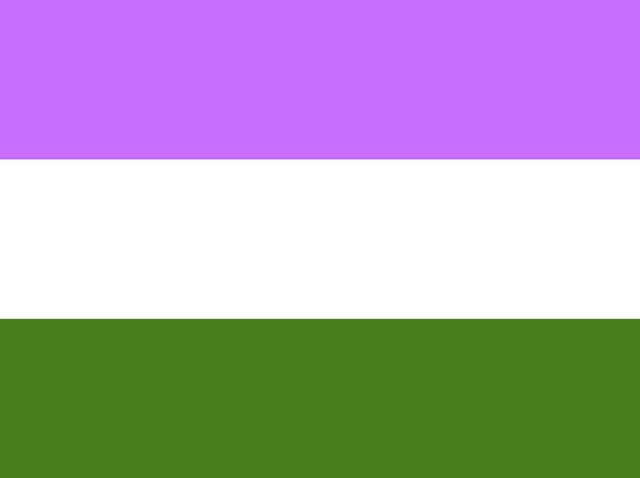 Pride Flags Go Beyond The Rainbow What Pansexual Bi And Others Mean