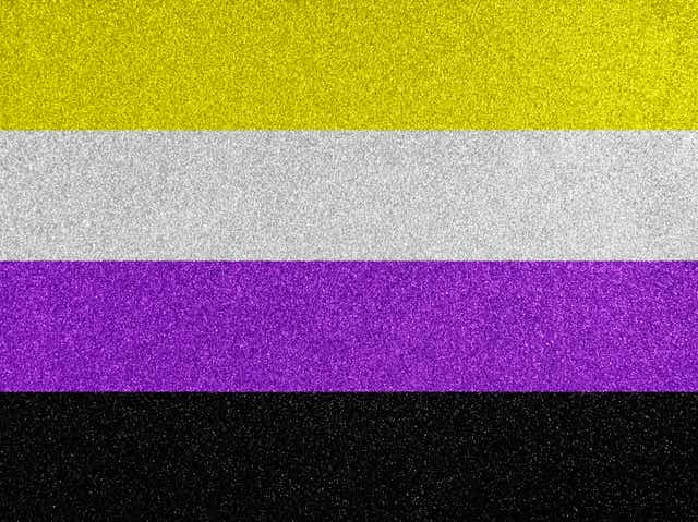 Pride Flags Beyond The Rainbow What Pansexual Bi And Others Mean