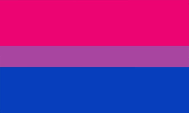 Pride Flags Beyond The Rainbow What Pansexual Bi And Others