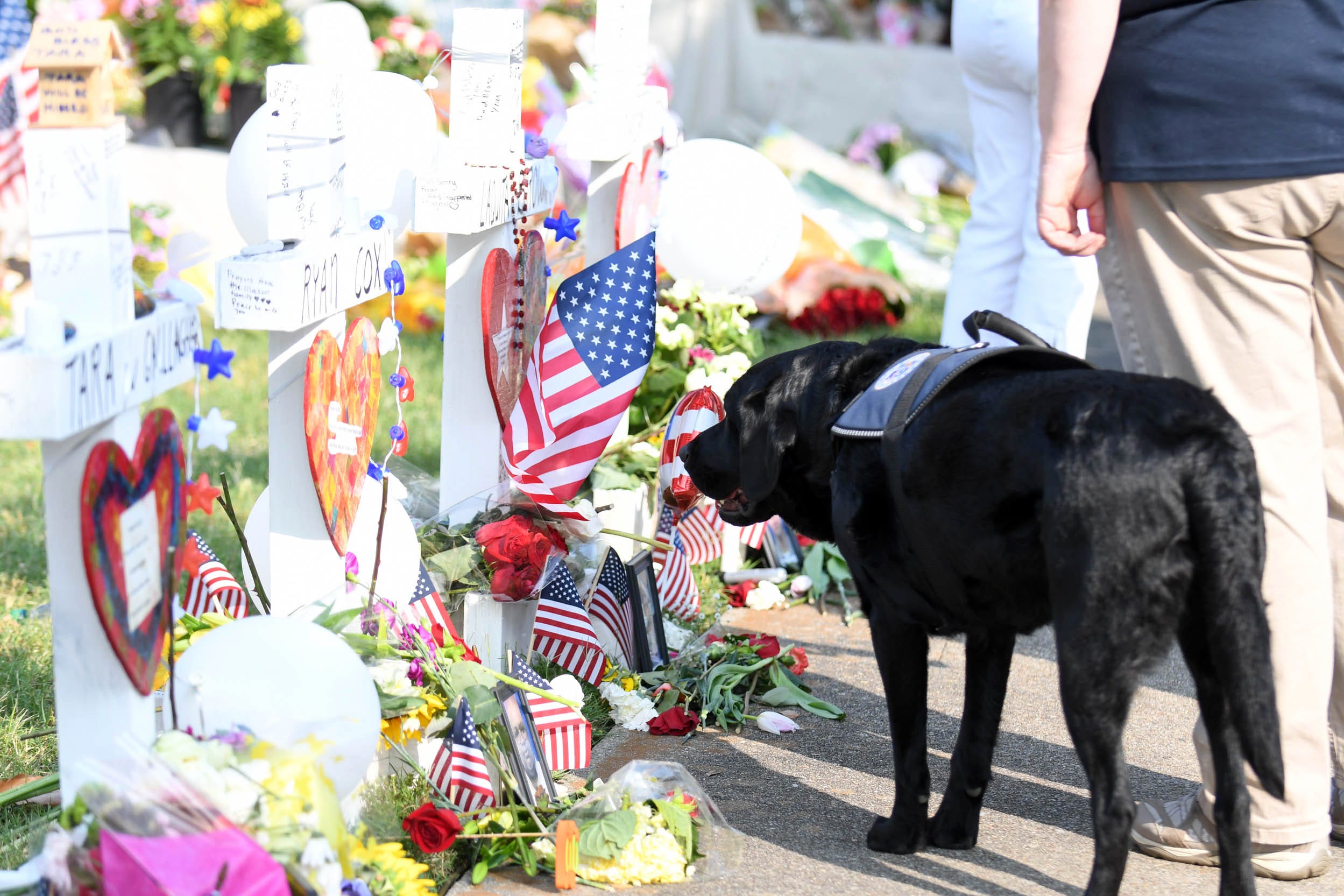 Virginia Beach shooting Residents struggle to return to routines