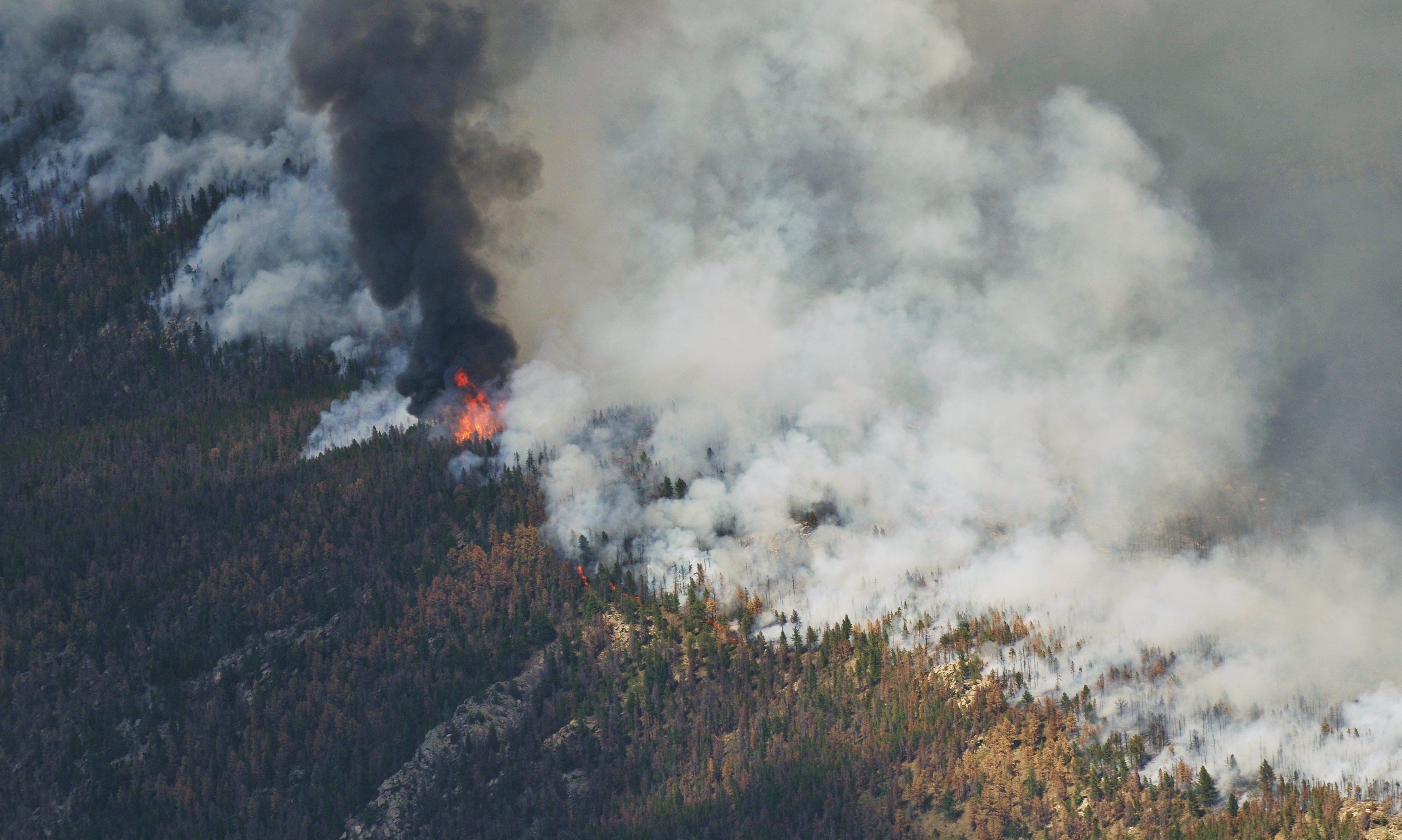 A column of black smoke rises from a sea of grey smoke on the western edge of the High Park Fire Tuesday June 19, 2012 as seen from the air.