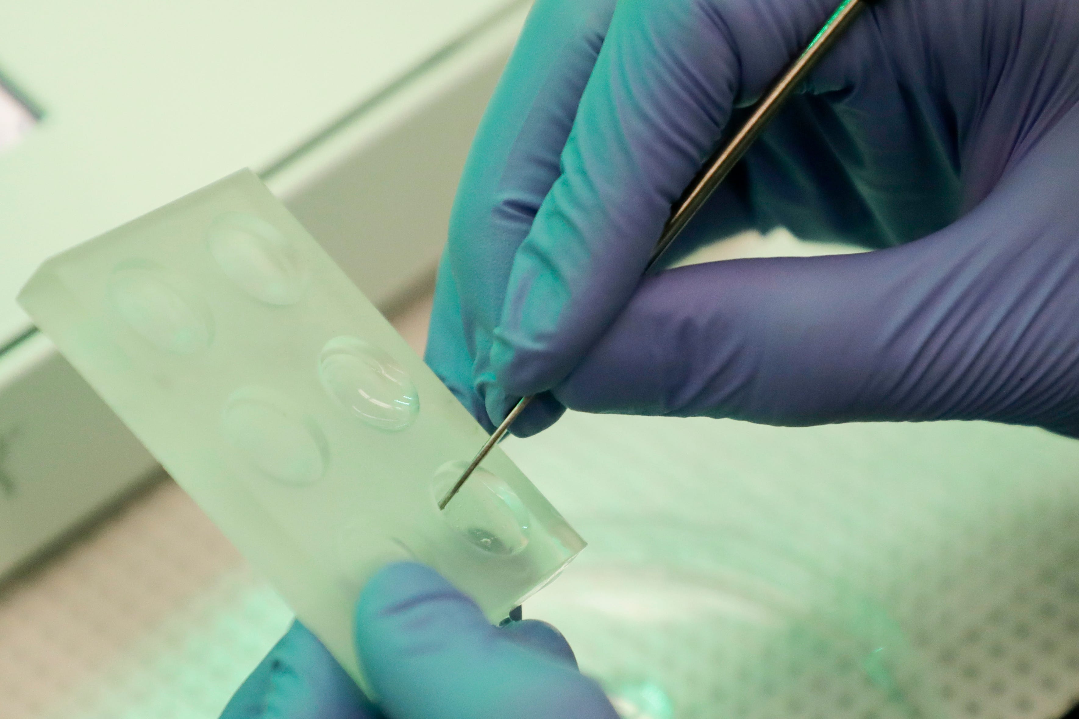 Famu Professor Researchers Create First U S 3d Print Of Human Cornea