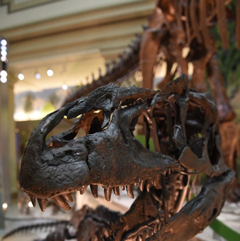 6/4/19 10:11:01 AM -- Washington, DC, U.S.A  -- Th