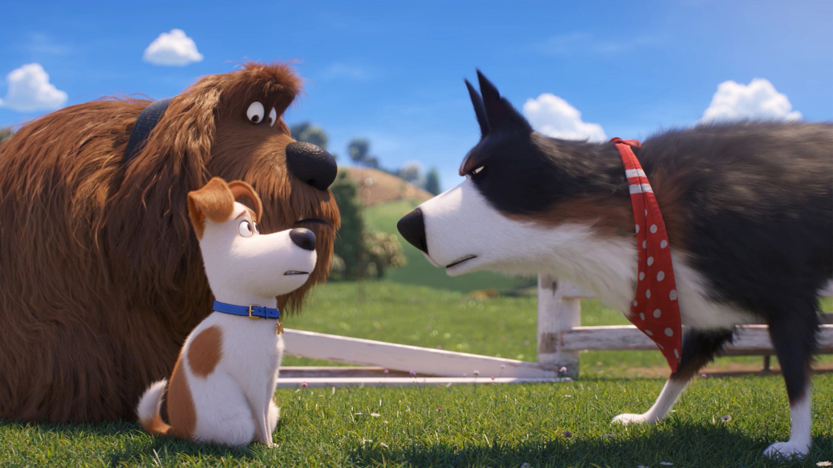 Harrison Ford is a dog in 'Secret Life of Pets 2': 'I don't like cats'