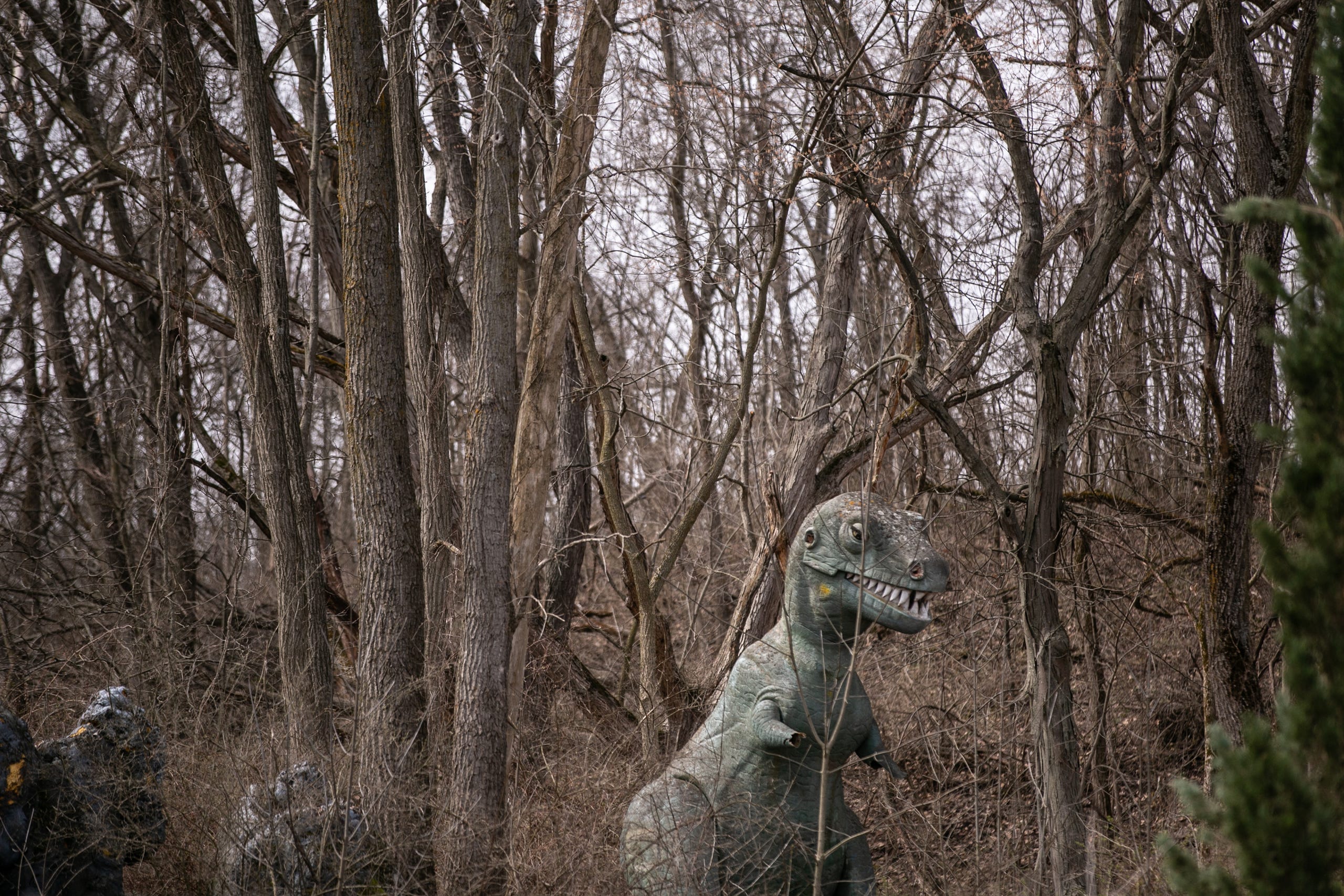 Download Inside The Long Dead Prehistoric Forest Dinosaur Park