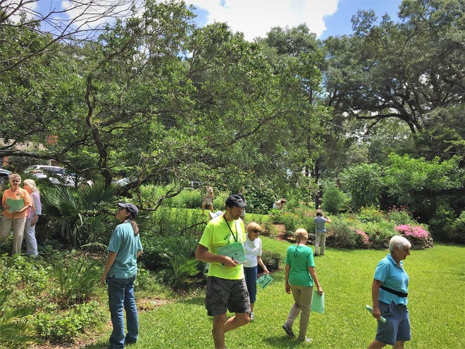 Florida Native Plant Society members examine the large mulched and planted beds that slow down the flow of rainwater in Legare’s front yard.