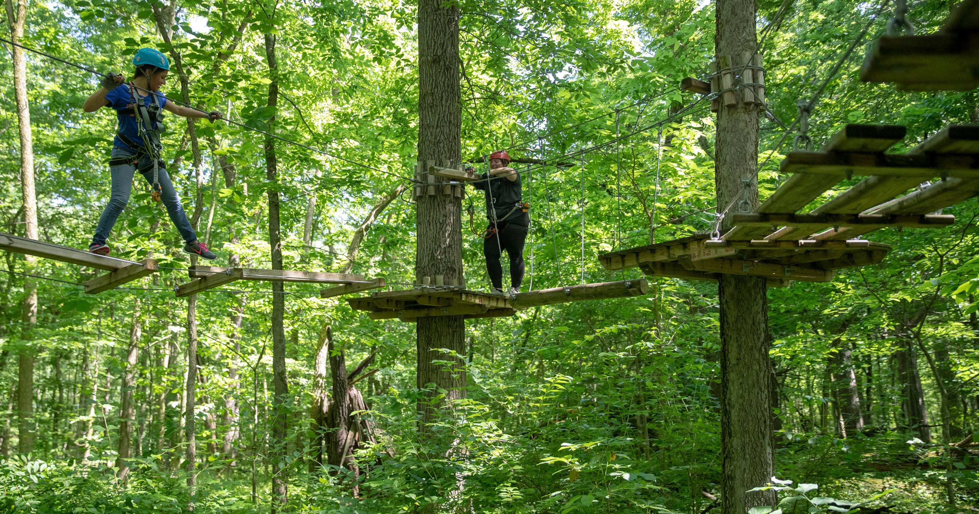 Koteewi Park zip line adventure survival guide How not to fail