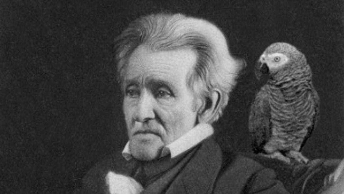 Today in History, June 10, 1845: Andrew Jackson's parrot removed from his funeral for swearing