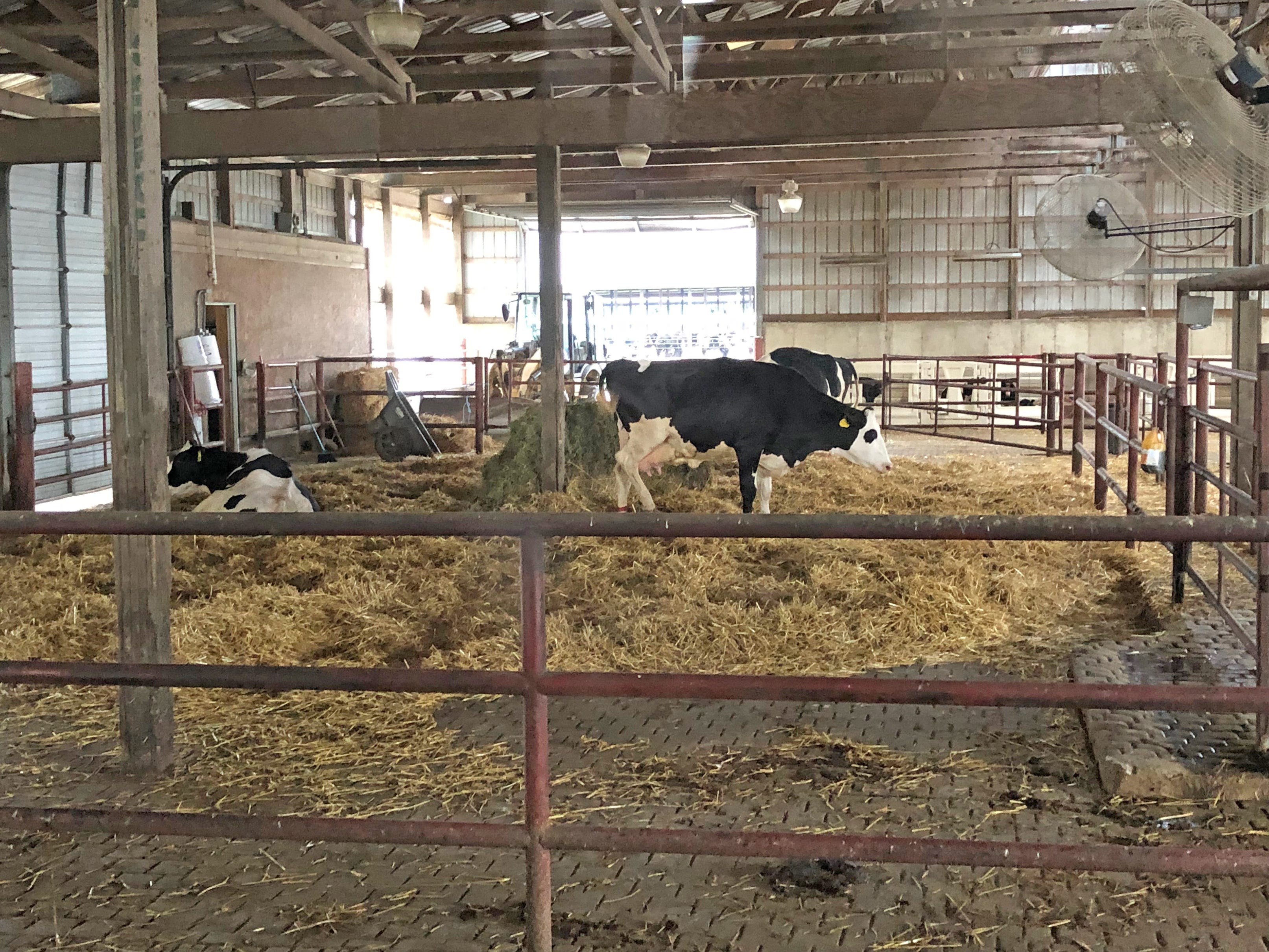 Fair Oaks Farms abuse I toured the tourist spot. Here's what I saw.