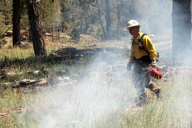 new-mexico-lincoln-national-forest-fire-rating-raised-to-high
