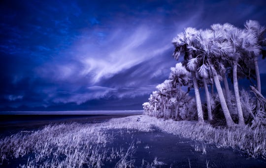 Michael Riffle Takes Nature Photos To A New Dimension