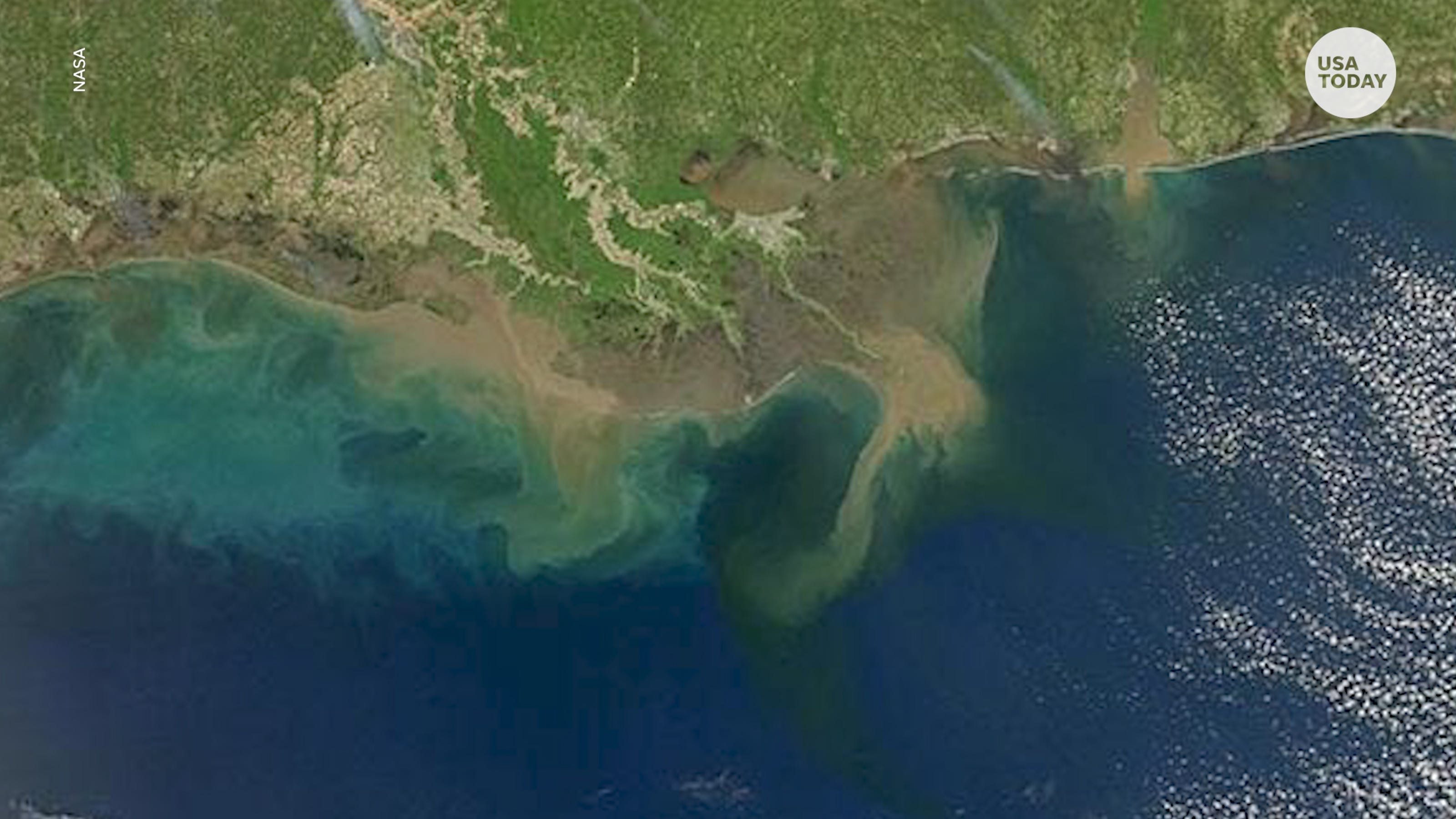 Gulf of Mexico 'dead zone' to be secondlargest on record this summer