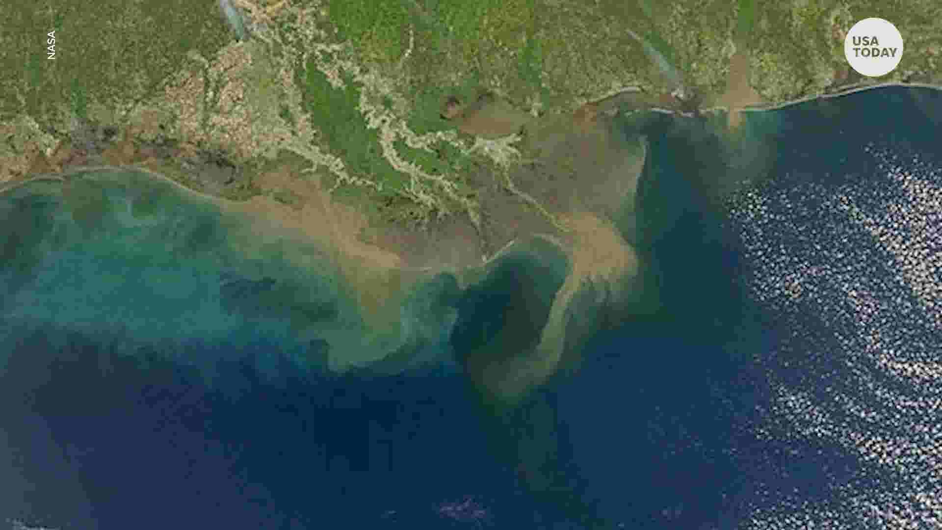 Gulf of Mexico #39 dead zone #39 predicted near record size