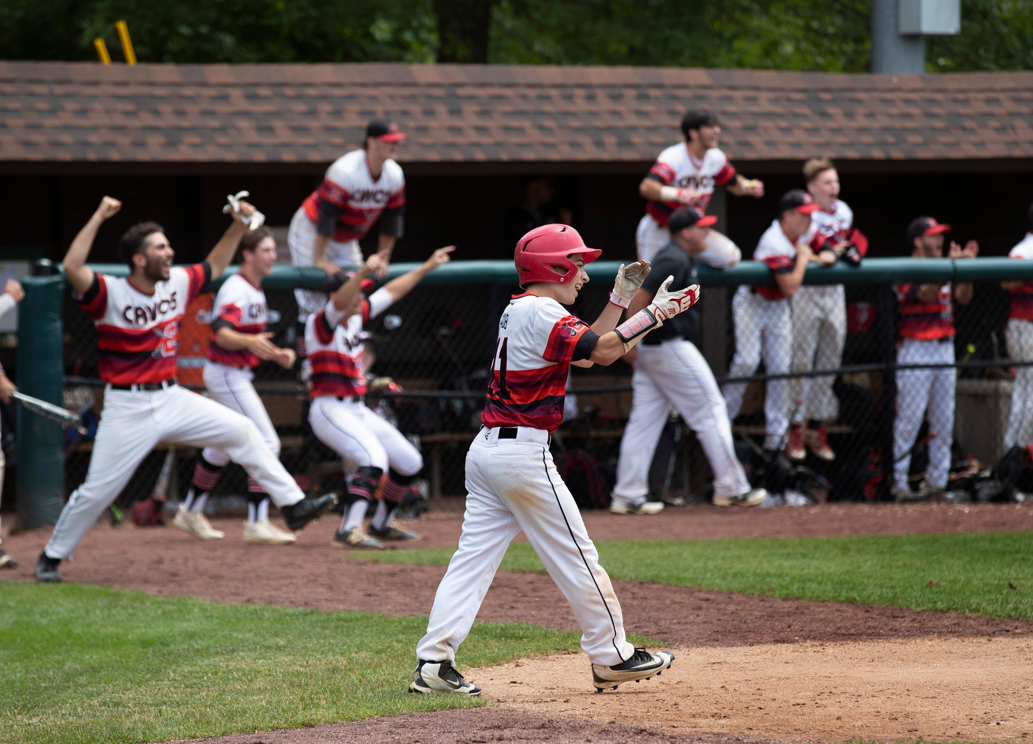 njsiaa baseball