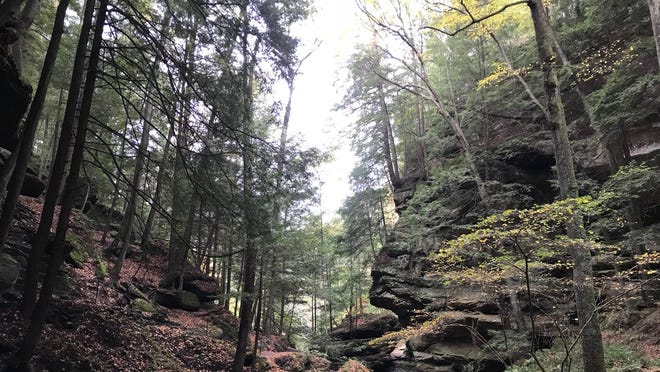 Cincinnati Weather Forecast Rain Before A Sunny Weekend