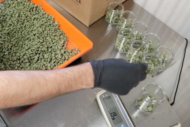 An employee at a medical marijuana dispensary in Egg Harbor Township, N.J., sorts buds into prescription bottles. At the end of 2018, about 1.4 million Americans are actively using marijuana to treat anxiety, sleep apnea and cancer.