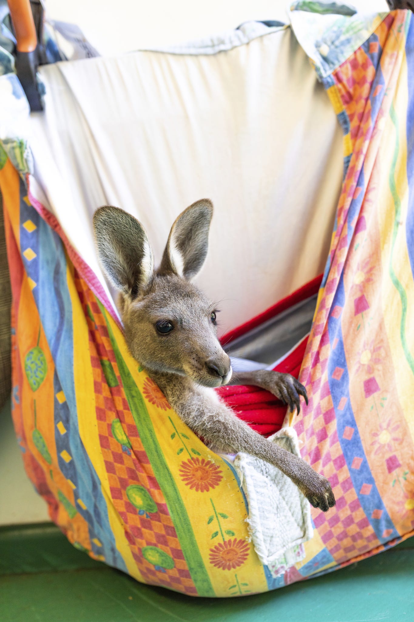 AUSSIE KANGAROO NEW HAND KNITTED SIZE 2
