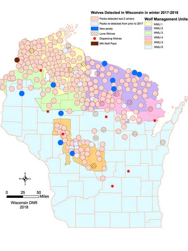 Wolves In Wisconsin Map Federal protection of wolves questioned after Wisconsin wolf attacks