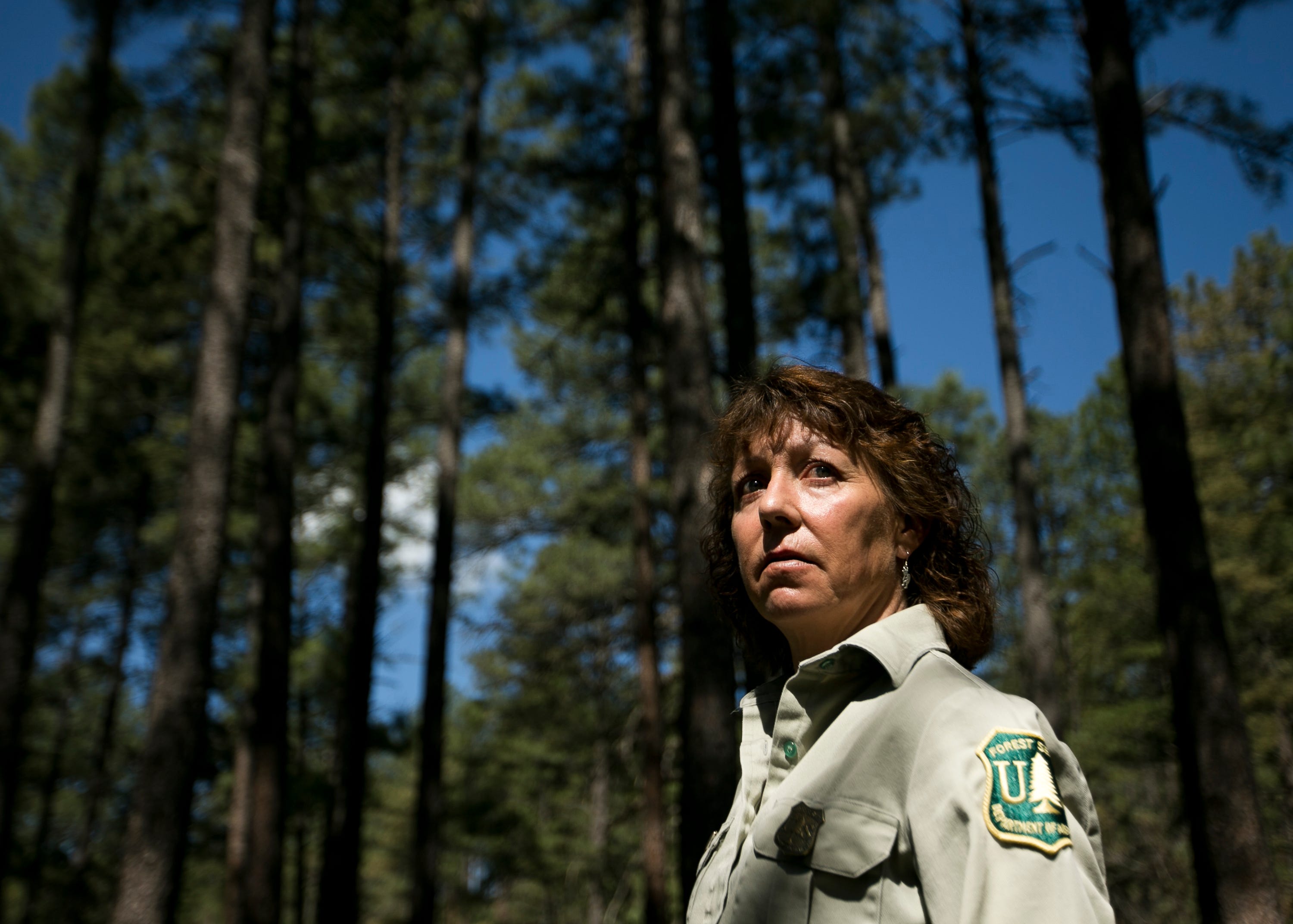 Jodie Canfield, a ranger with the U.S. Forest Service Smokey Bear District, stands in a grove of thinned trees in Ruidoso, New Mexico, on May 31, 2019.