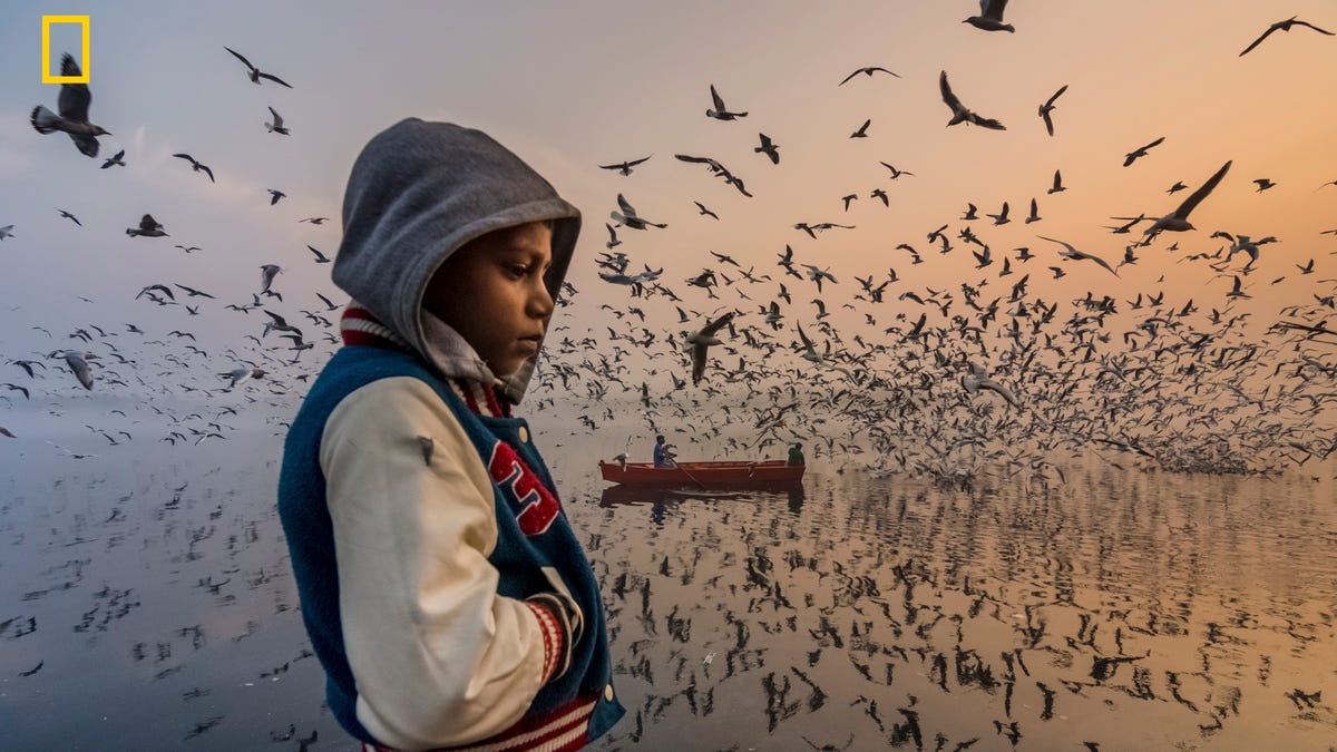 People, Honorable Mention: I captured this layered moment during sunrise along the banks of the Yamuna River in Delhi, India. This boy was thinking silently, and visitors were enjoying the loud musical chirping of thousands of seagulls. The early morning golden light from the east mixed with the western blue light, creating a [ethereal atmosphere]. I am a regular visitor [here] and have photographed this place for the past three years. Now, many national and   international photographers have begun visiting [too].
