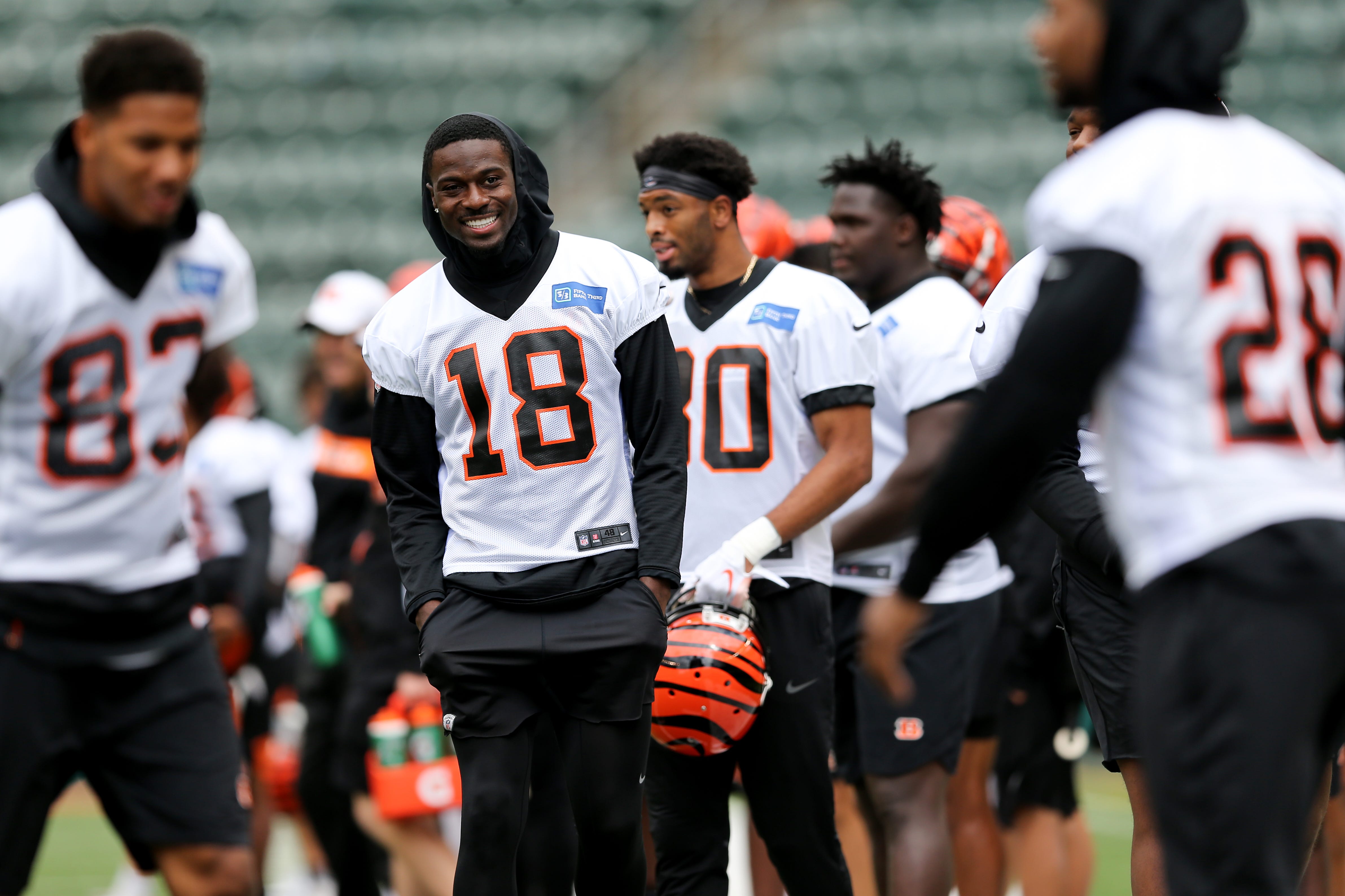 Bengals 2011 Depth Chart