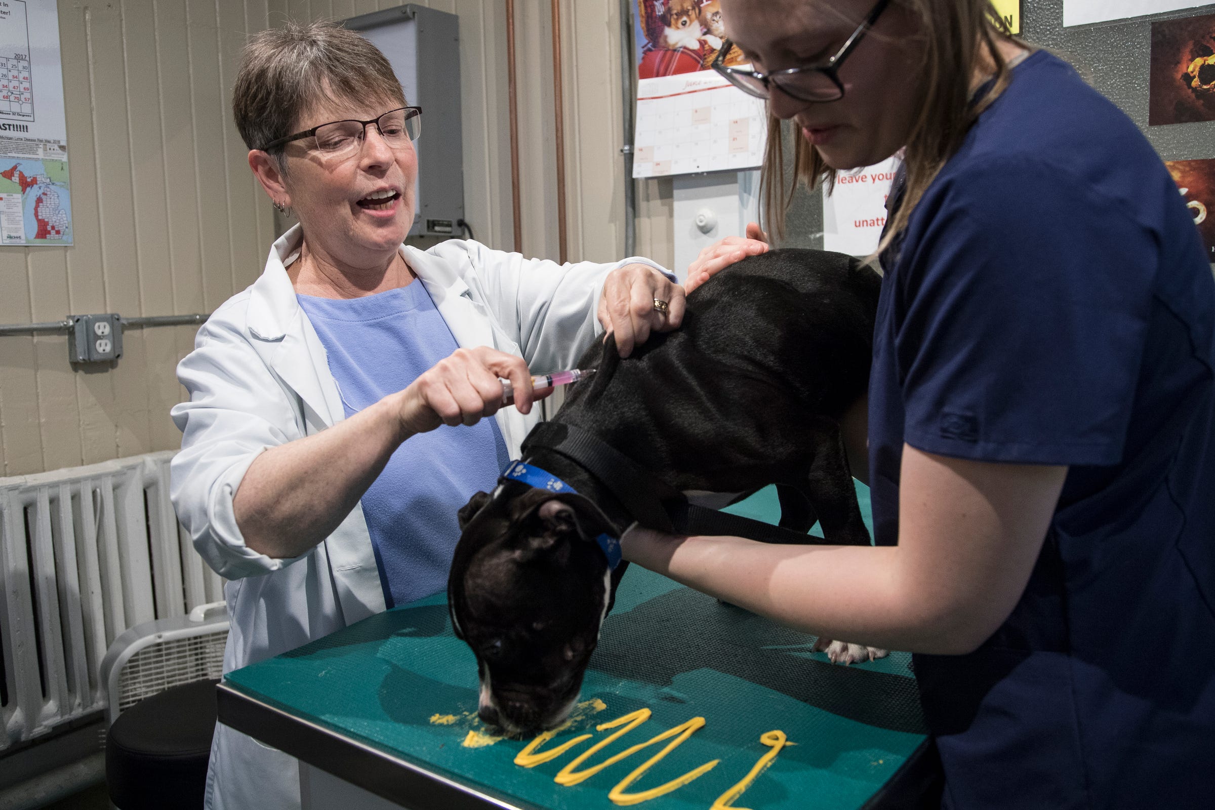 Patterson Dog and Cat Hospital in Detroit is oldest veterinary clinic Patterson Dog and Cat Hospital in Detroit is oldest veterinary clinic