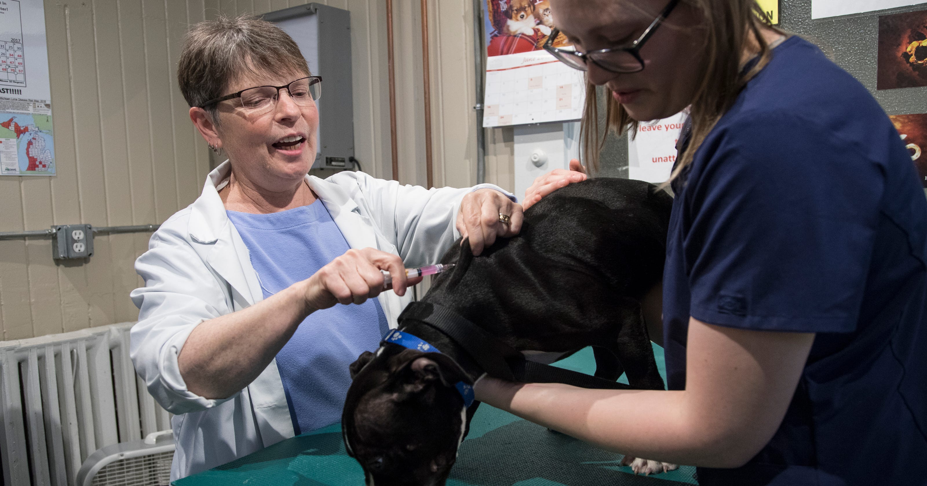 Patterson Dog and Cat Hospital in Detroit is oldest ...