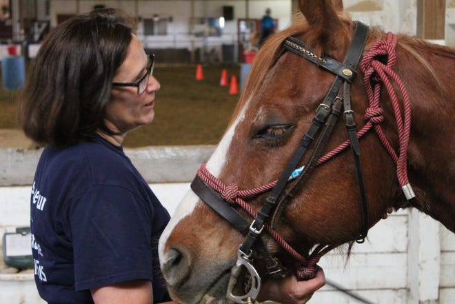 Riders Unlimited volunteer Sue Hoffman talks to one of the facility's horses Monday at an equine therapy session. The Ottawa County organization is trying to carry on the legacy of its former chief operating officer, Rebekah Recker, who was diagnosed with an inoperable brain tumor in November 2018.