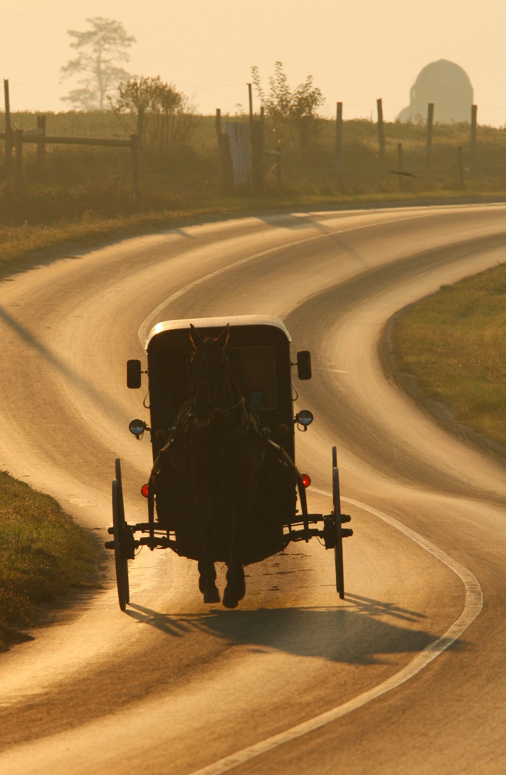 Fact check: False claim that the Amish don't get COVID-19