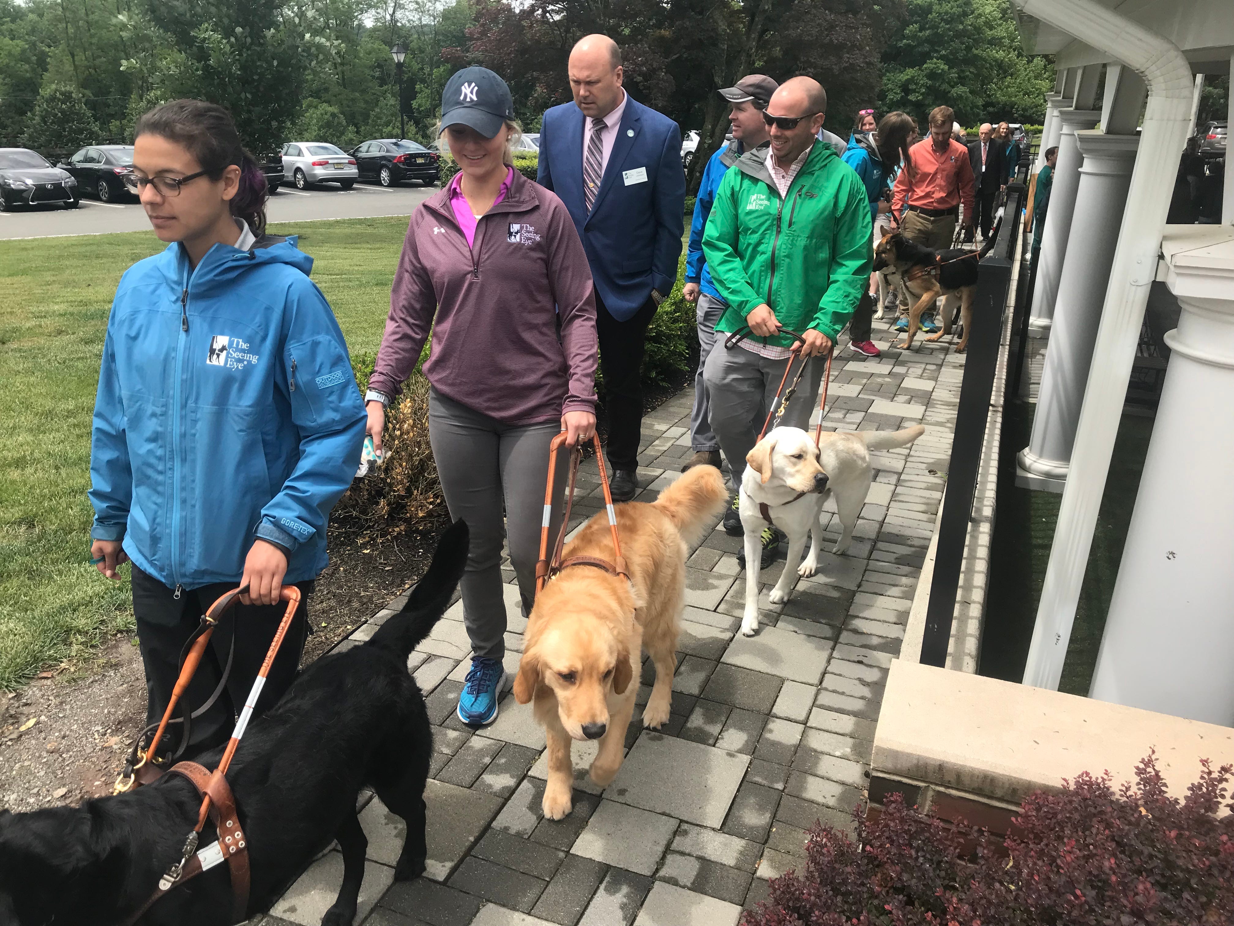 seeing eye dogs released