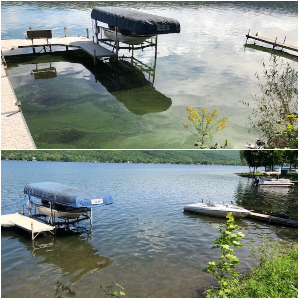 How science and nature are helping to rescue Honeoye Lake