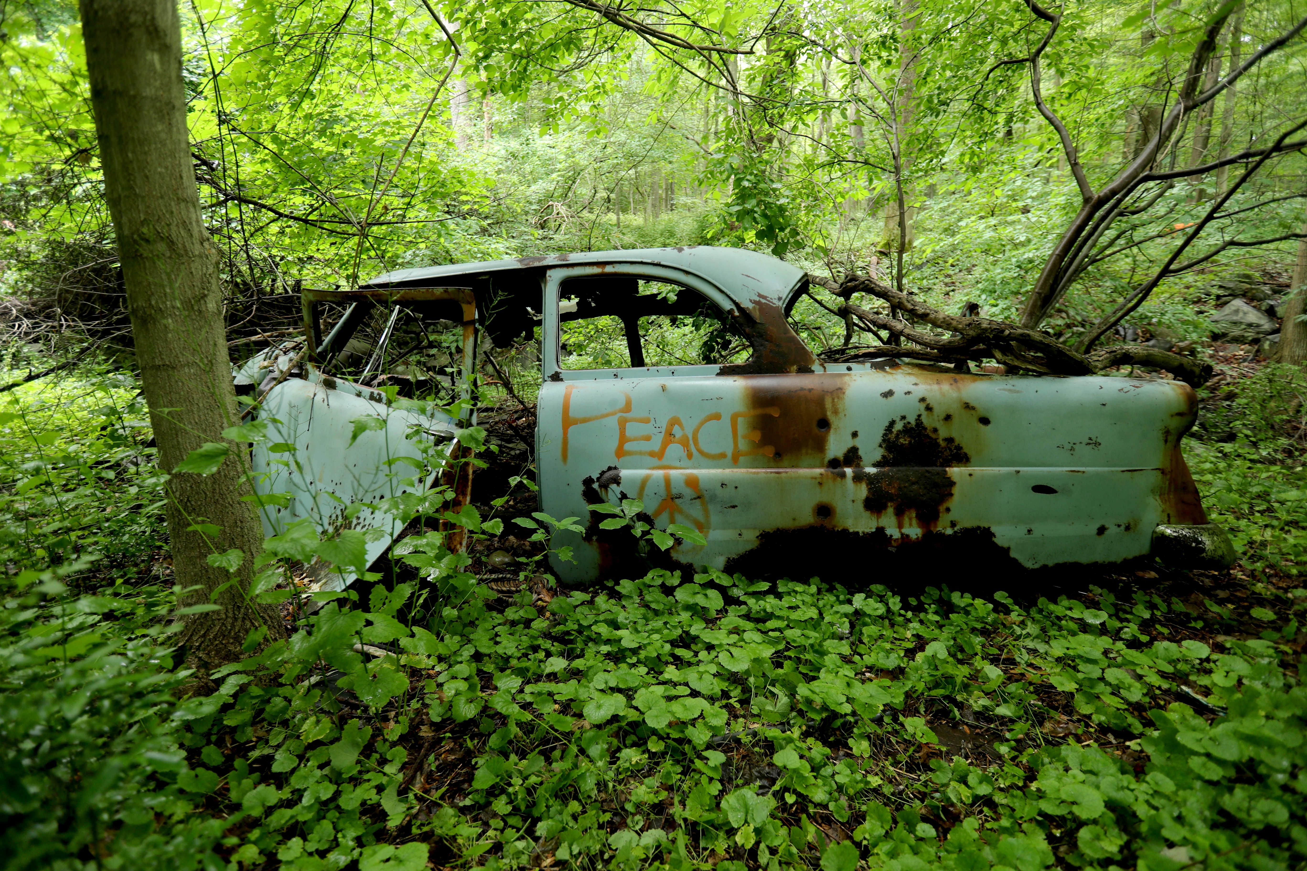 Hike To The Ruins Of Wrecked Cars In Westchester County Parks