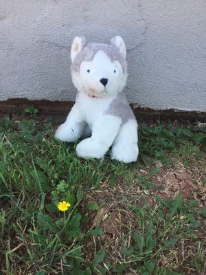 This stuffed puppy was found Sunday, June 16