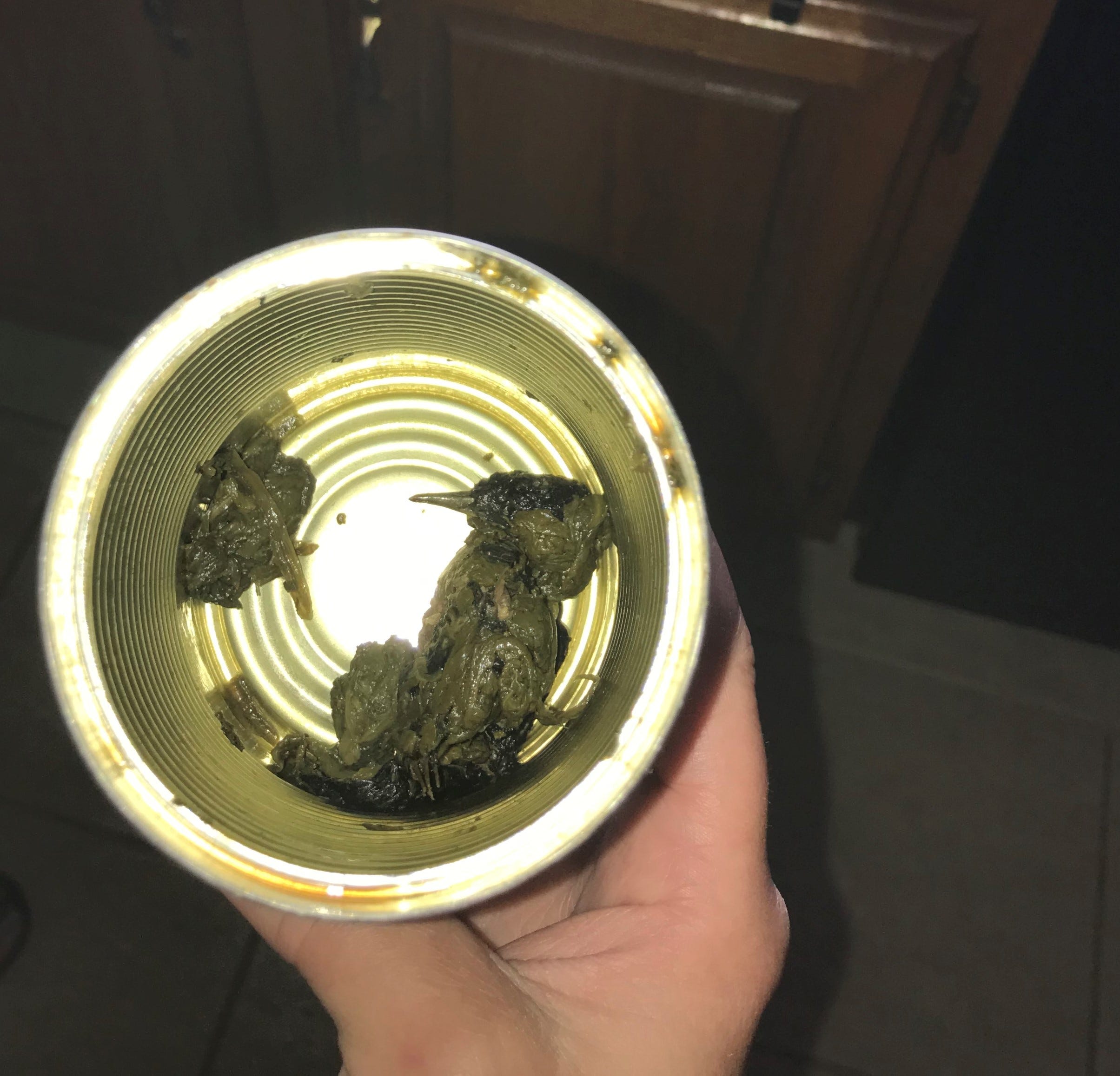 Dead bird found in can of spinach, woman says: 'It was the yellow beak that gave it away'