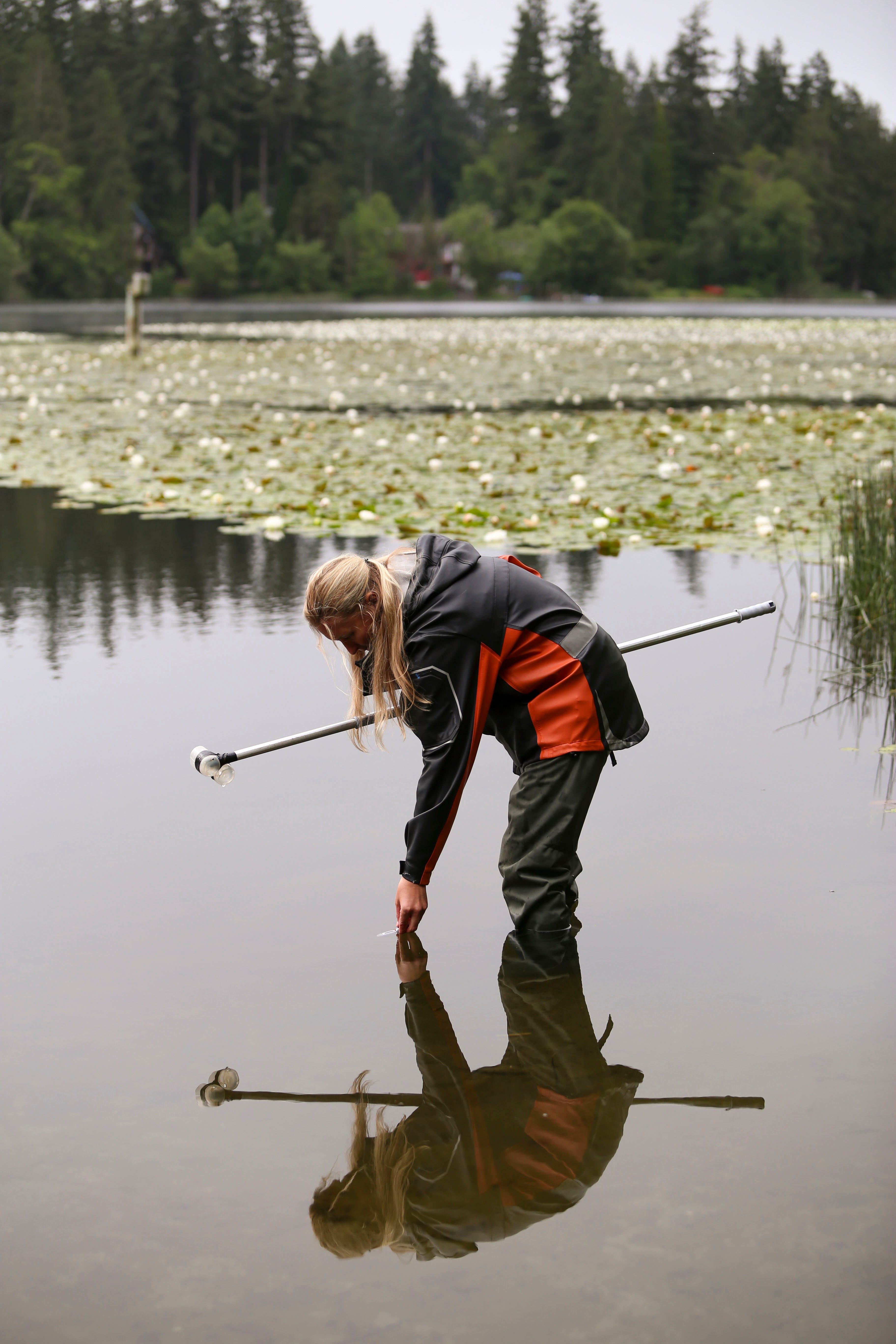 Kitsap Public Health District tests water for cyanobacteria, E. Coli