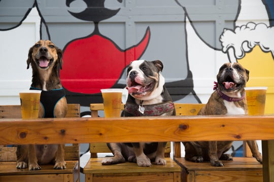 Travel With Pets Check Out Dog Friendly Road Trips Across