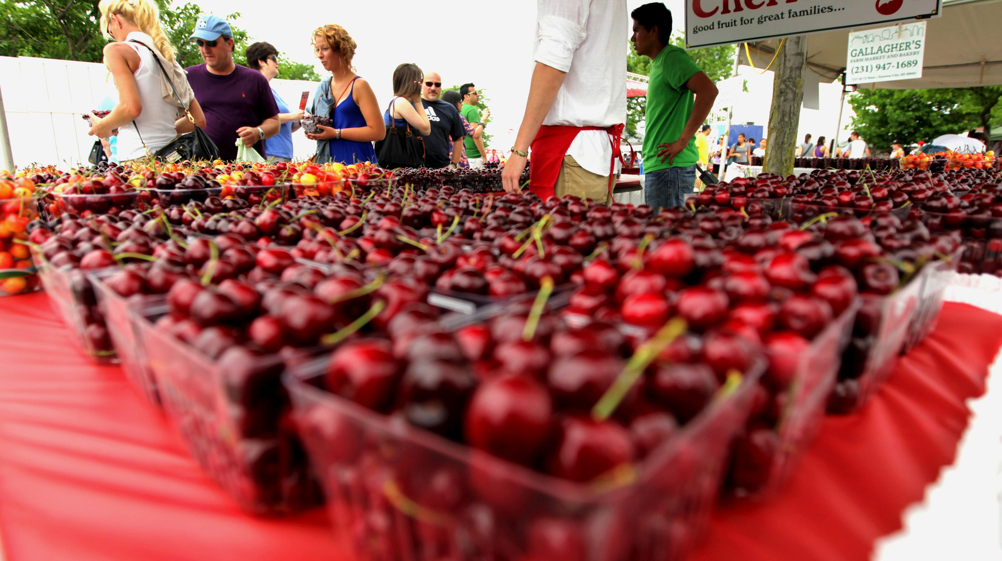 National Cherry Festival 2019 in Traverse City: What to know