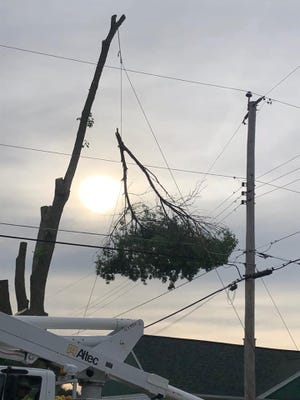 A man was electrocuted Wednesday while trimming a tree near high voltage power lines.