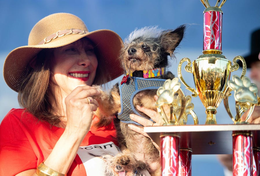 Darlene Wright holds up Scamp the Tramp as it is announced that he won first prize in the World's Ugliest Dog Competition in Petaluma, Calif. on June 21, 2019.