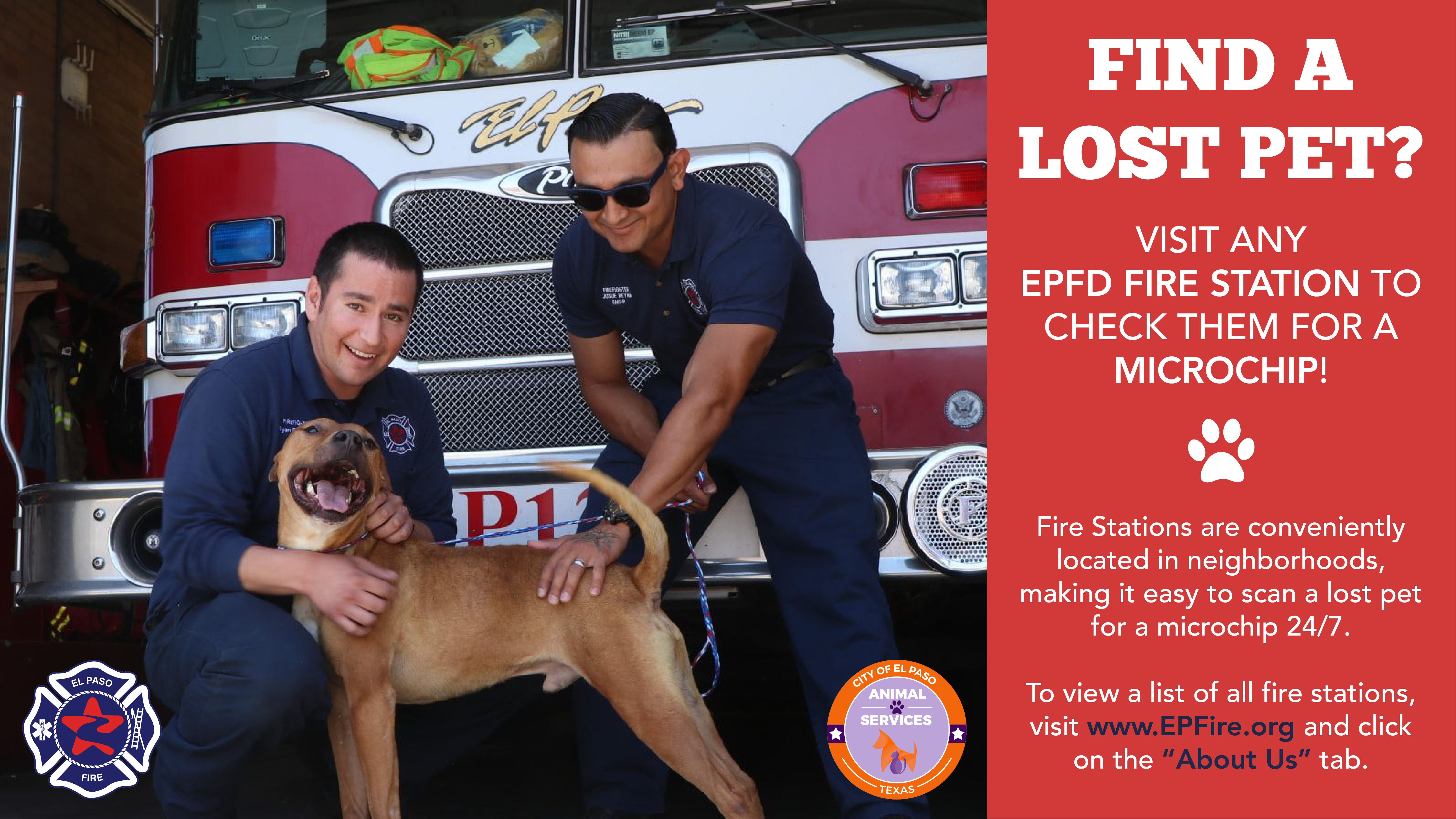 Lost dog? El Paso Fire stations can now scan animals for microchips Lost dog? El Paso Fire stations can now scan animals for microchips
