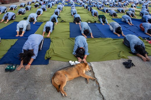 A dog sleeps as exile Tibetan students of the Tibetan Children's Village School participate in a yoga session to mark International Yoga Day in Dharmsala, India, June 21, 2019.