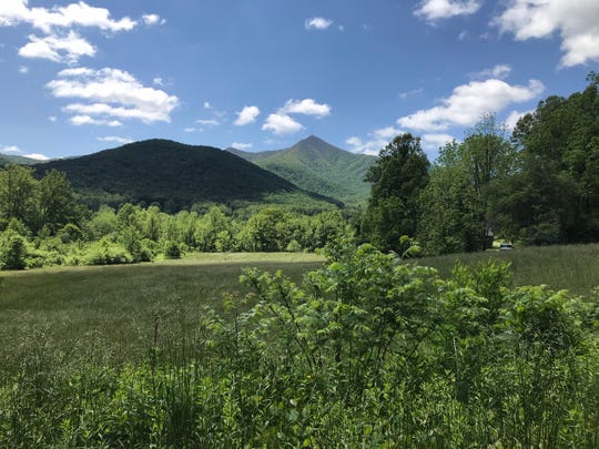 Mount Pisgah can be seen in the distance from Pisgah View Ranch, the site of what is set to become North Carolina's newest state park.