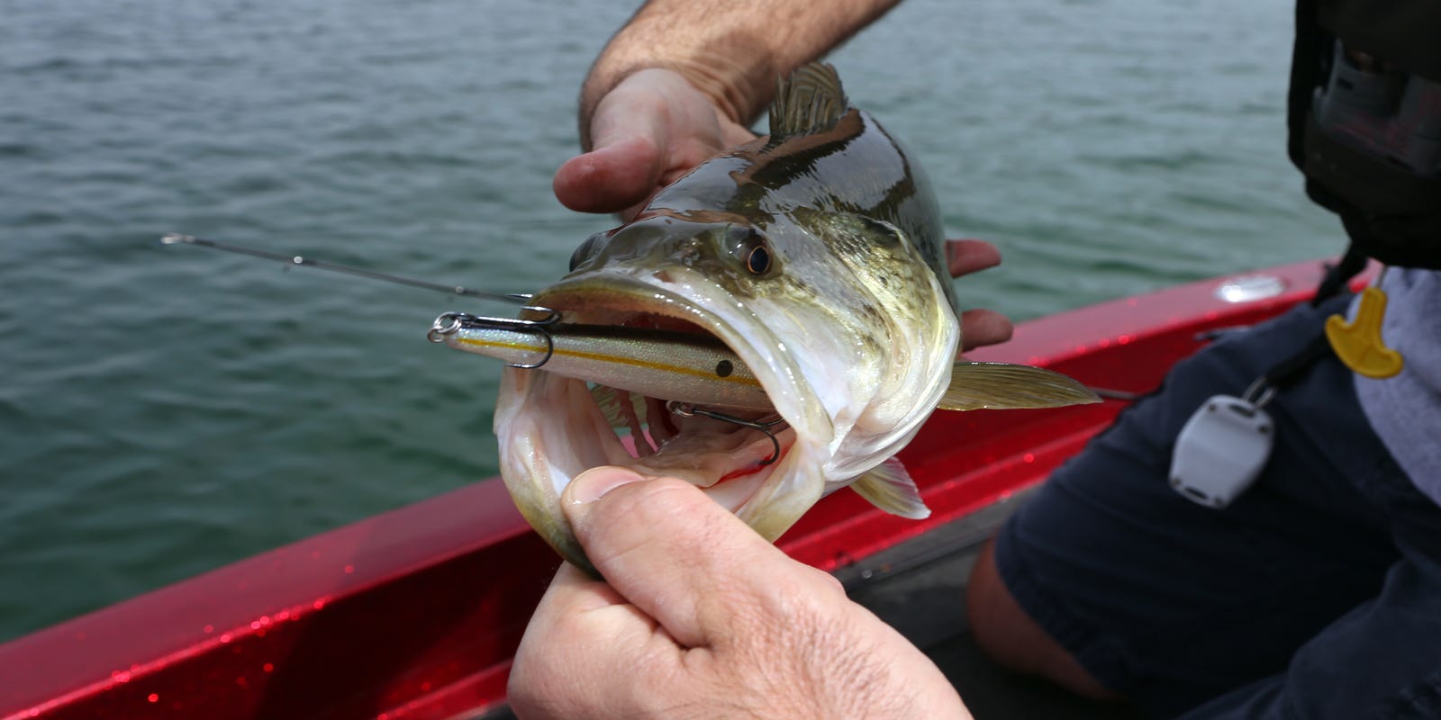 Bassmaster: Michigan has 6 of best lakes for bass fishing in US