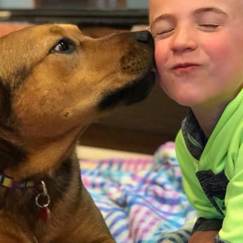 Seven-year-old Roman McConn is on a mission to...